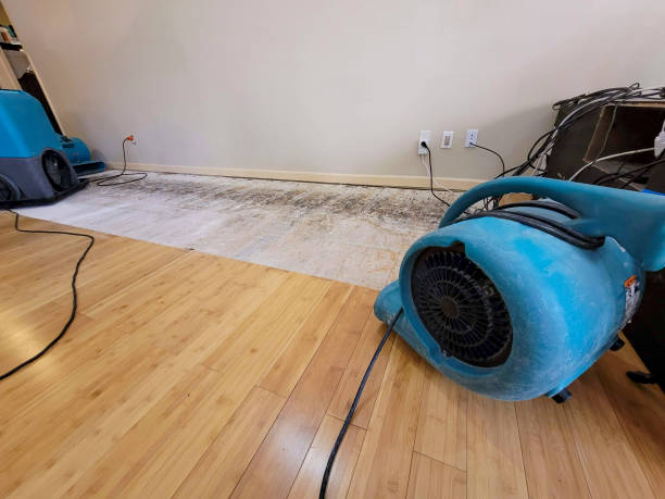 Professional Water Extraction technician working in Union City, MI